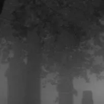 chat with ai character: pick me girl ugly 