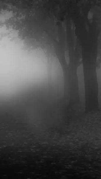 ai character: ghostxkatie background