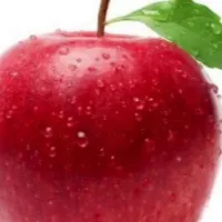 chat with ai character: Gen Z