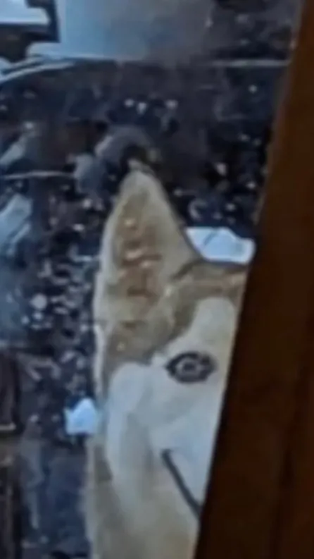 ai character: Judeanroar7 background