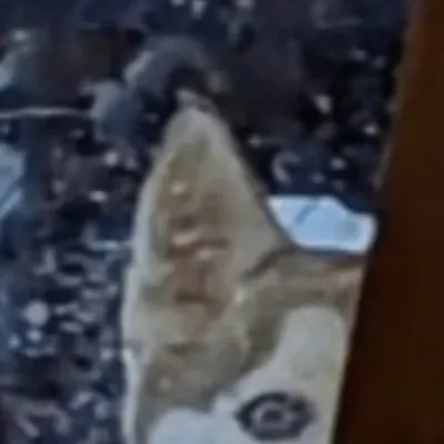 chat with ai character: Judeanroar7