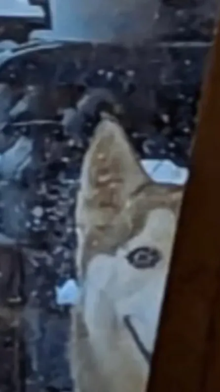 ai character: Queen9zombie background