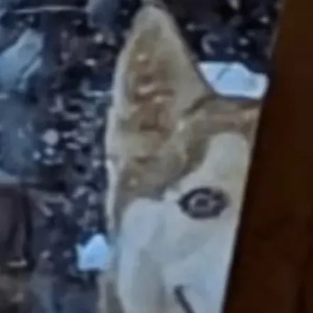 chat with ai character: Queen9zombie