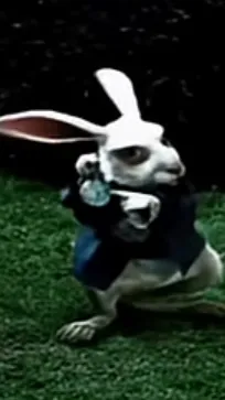 ai character: Spannish. background