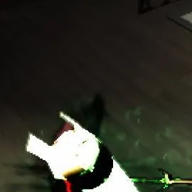 chat with ai character: me