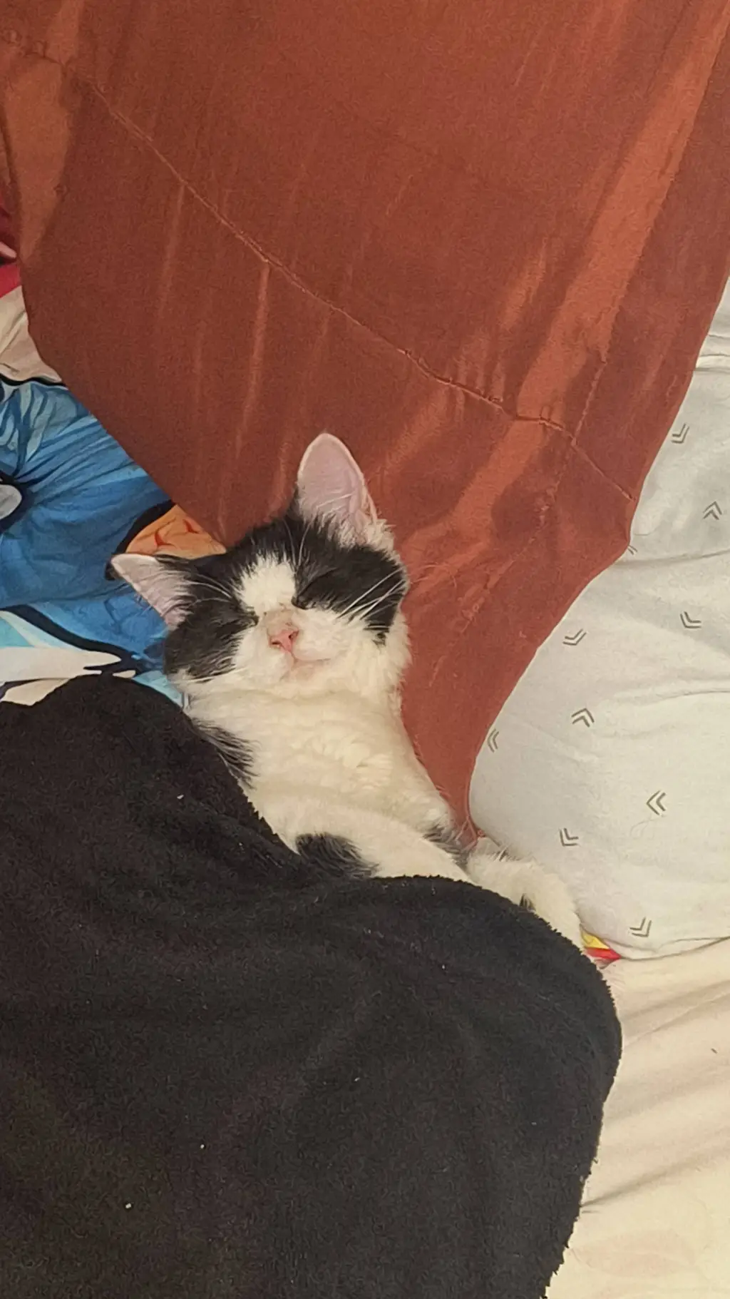 ai character: XFOHV sleepover background