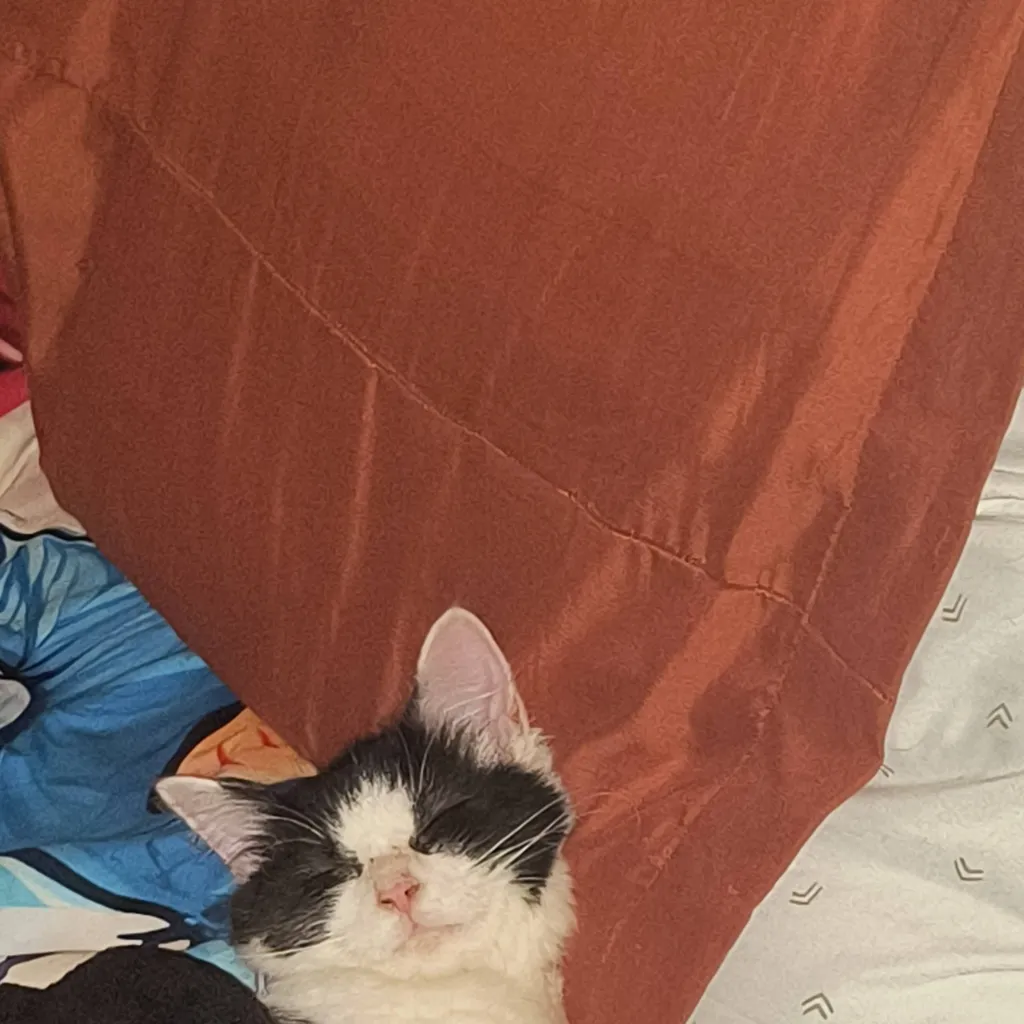 chat with ai character: XFOHV sleepover