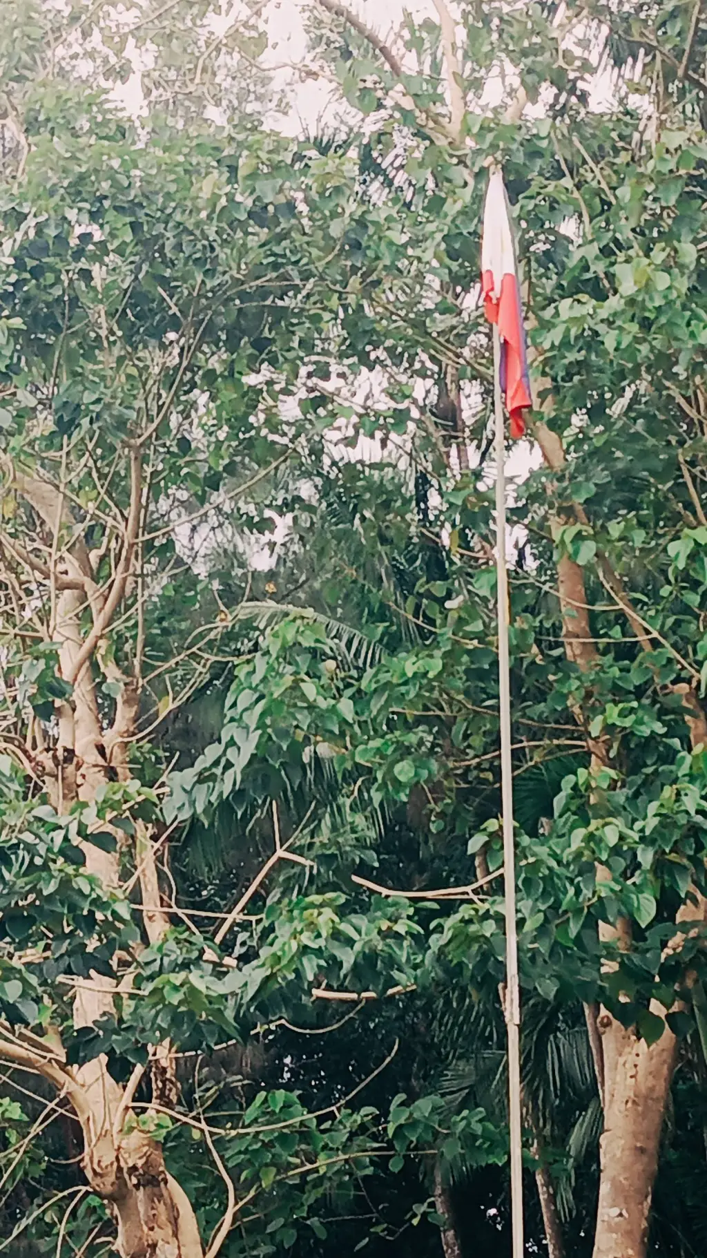 ai character: Matthew/Matt background