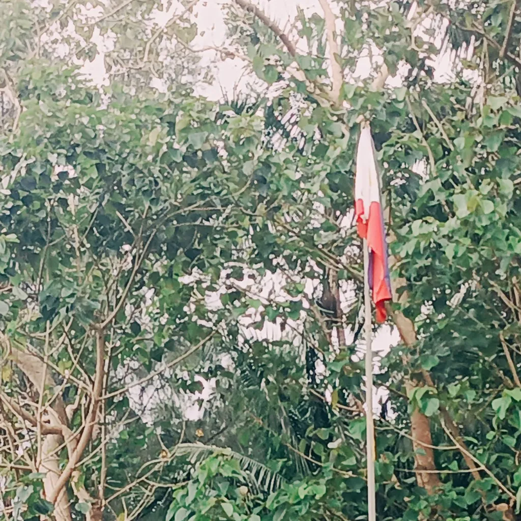 chat with ai character: Matthew/Matt