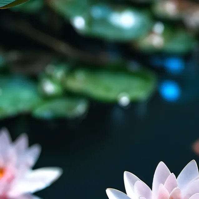 chat with ai character: not my neibour