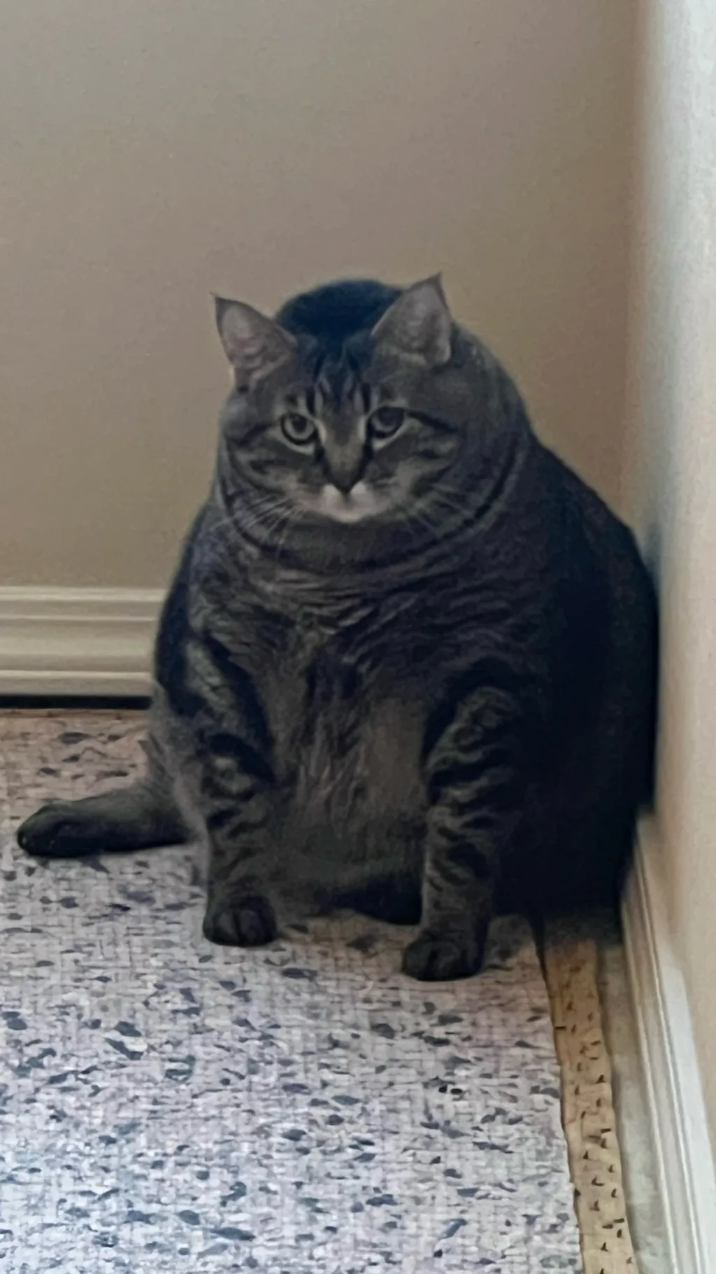 ai character: ASOUE background