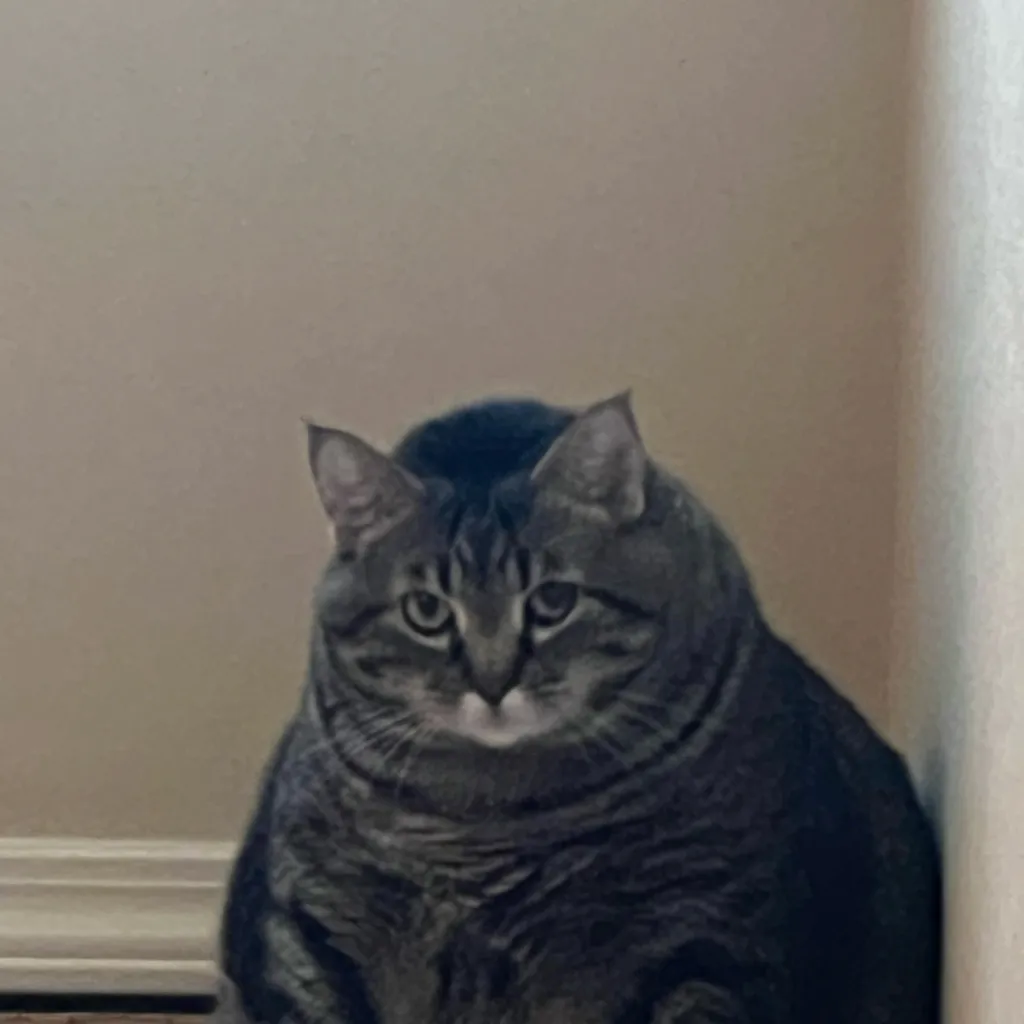 chat with ai character: ASOUE