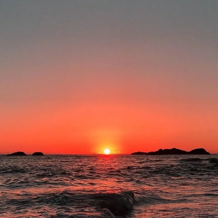 chat with ai character: Lonley 