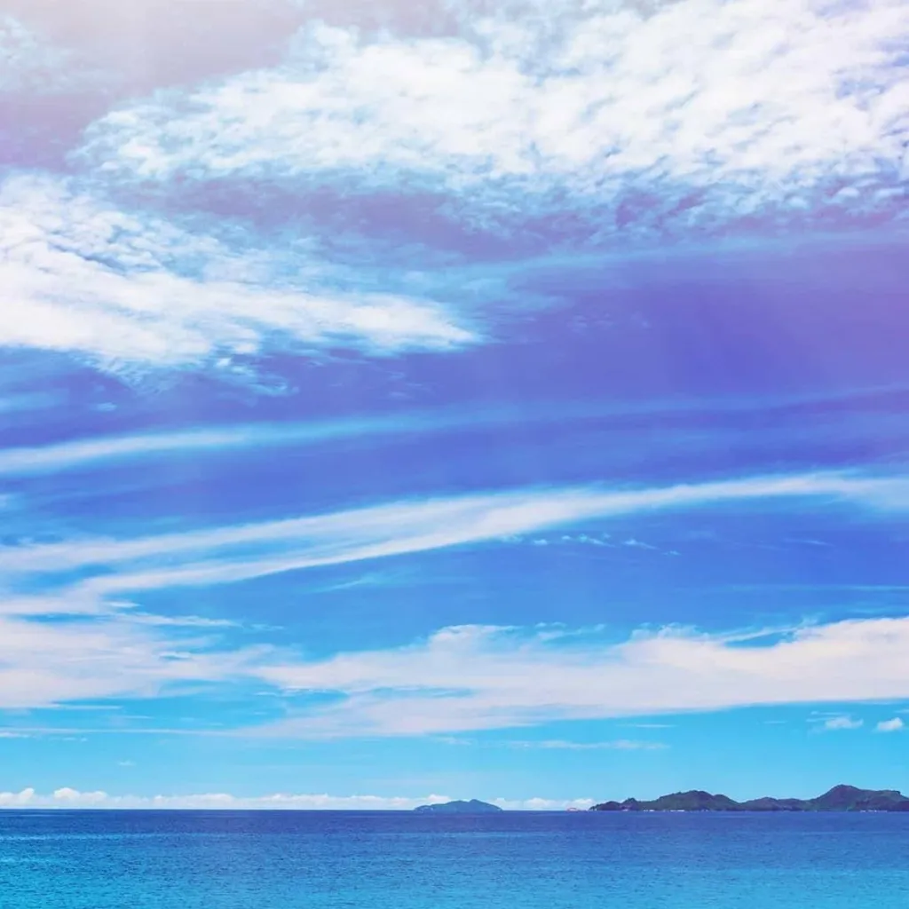 chat with ai character: Forsaken vocation