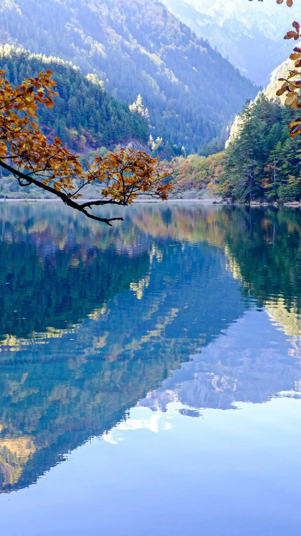 ai character: Forsaken camping:) background