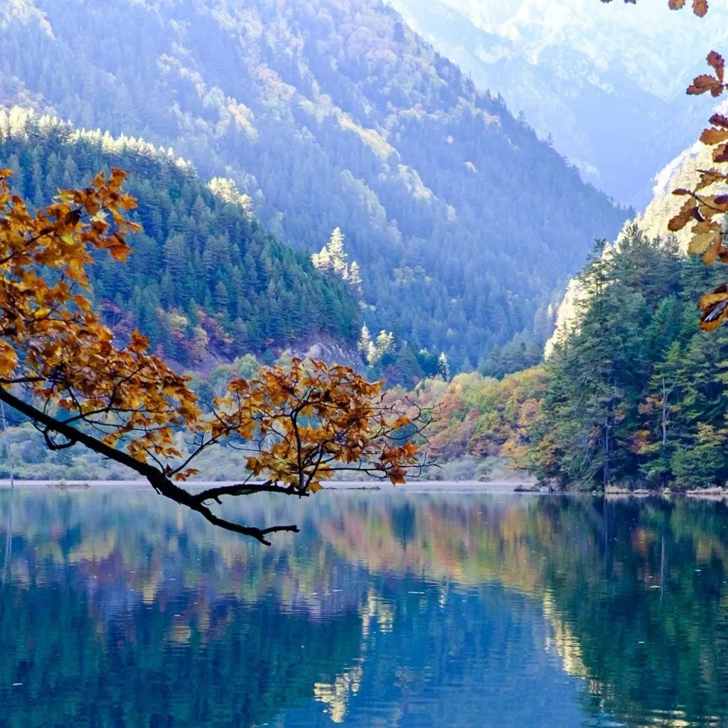 chat with ai character: Forsaken camping:)