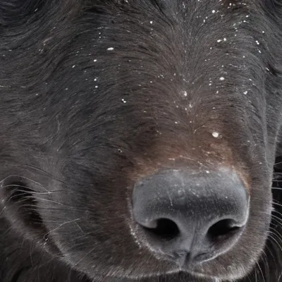 chat with ai character: Maki