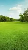 ai character: Grass.  background
