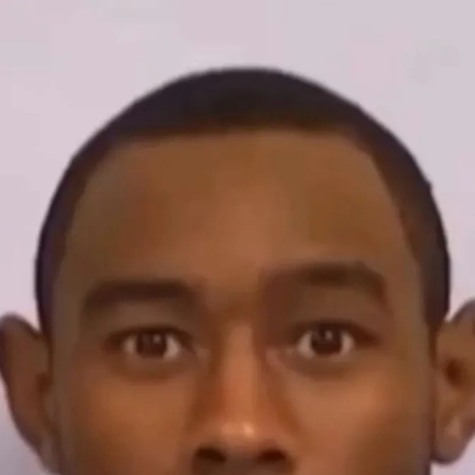 chat with ai character: Tyler the creator