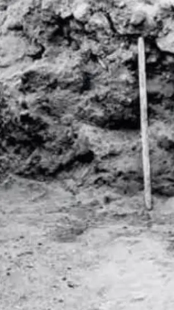 Talkie AI - Chat with ⭐ LAB EXP!? ⭐