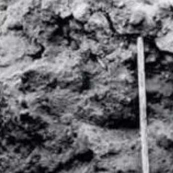 chat with ai character: ⭐ LAB EXP!? ⭐