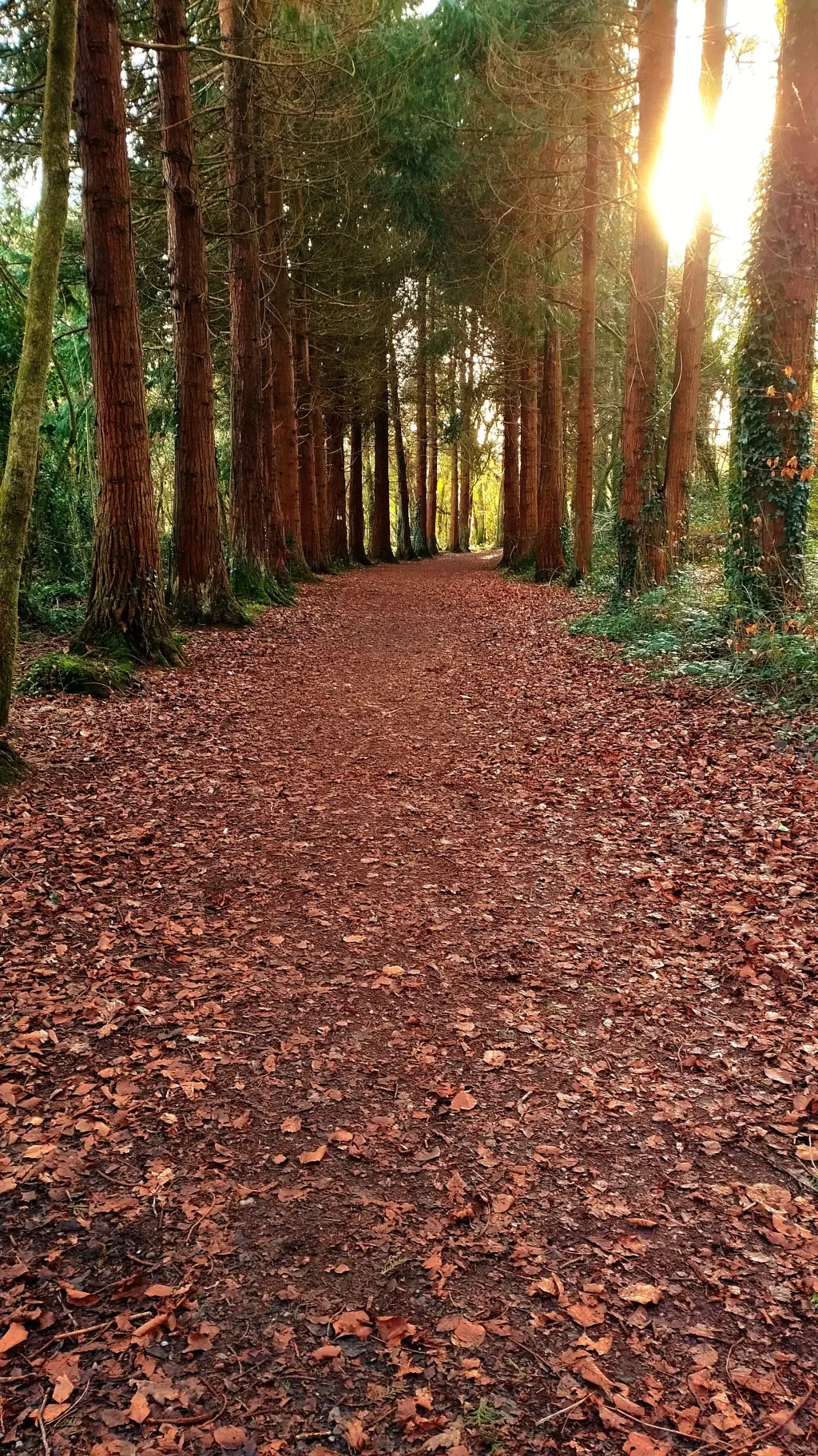 ai character: SCHOOL CAMP!? background