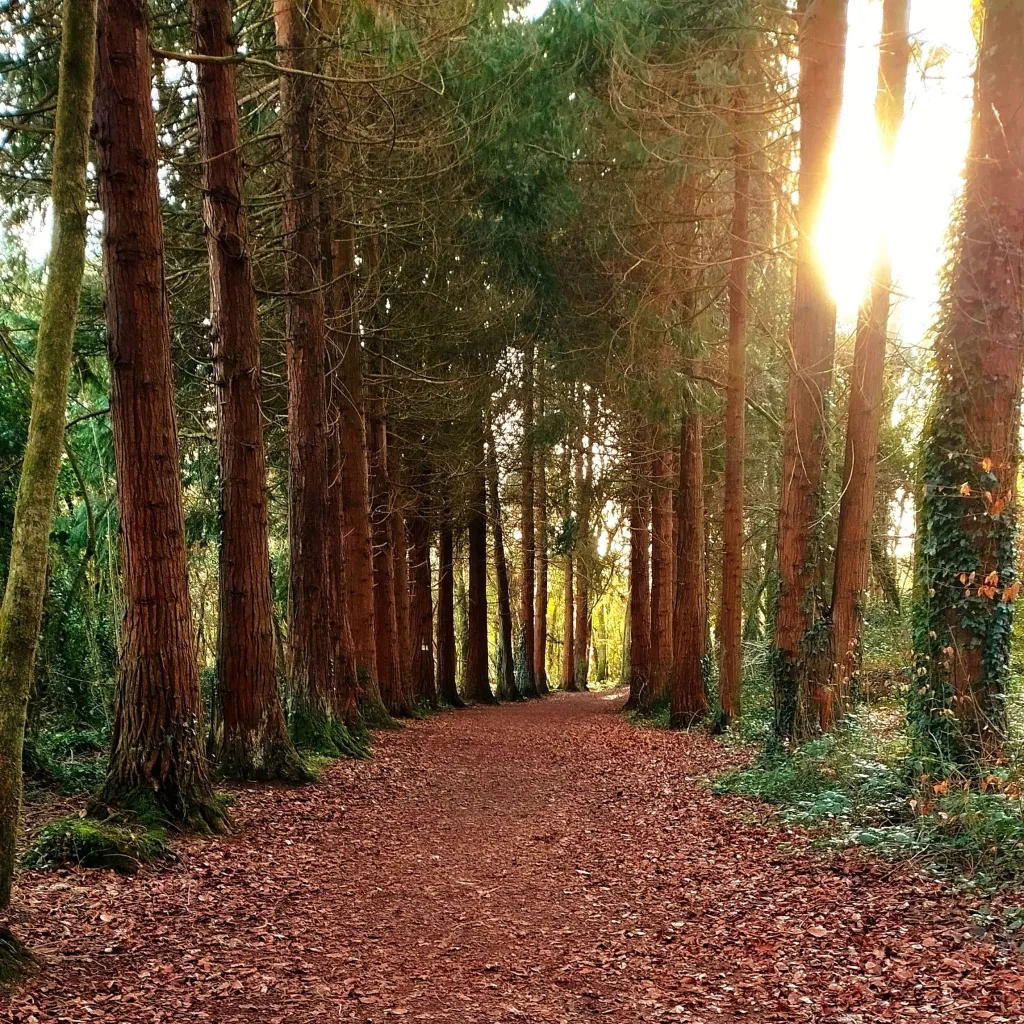 chat with ai character: SCHOOL CAMP!?