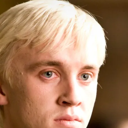 chat with ai character: Draco Malfoy