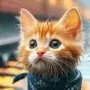 chat with ai character: "stray cat"