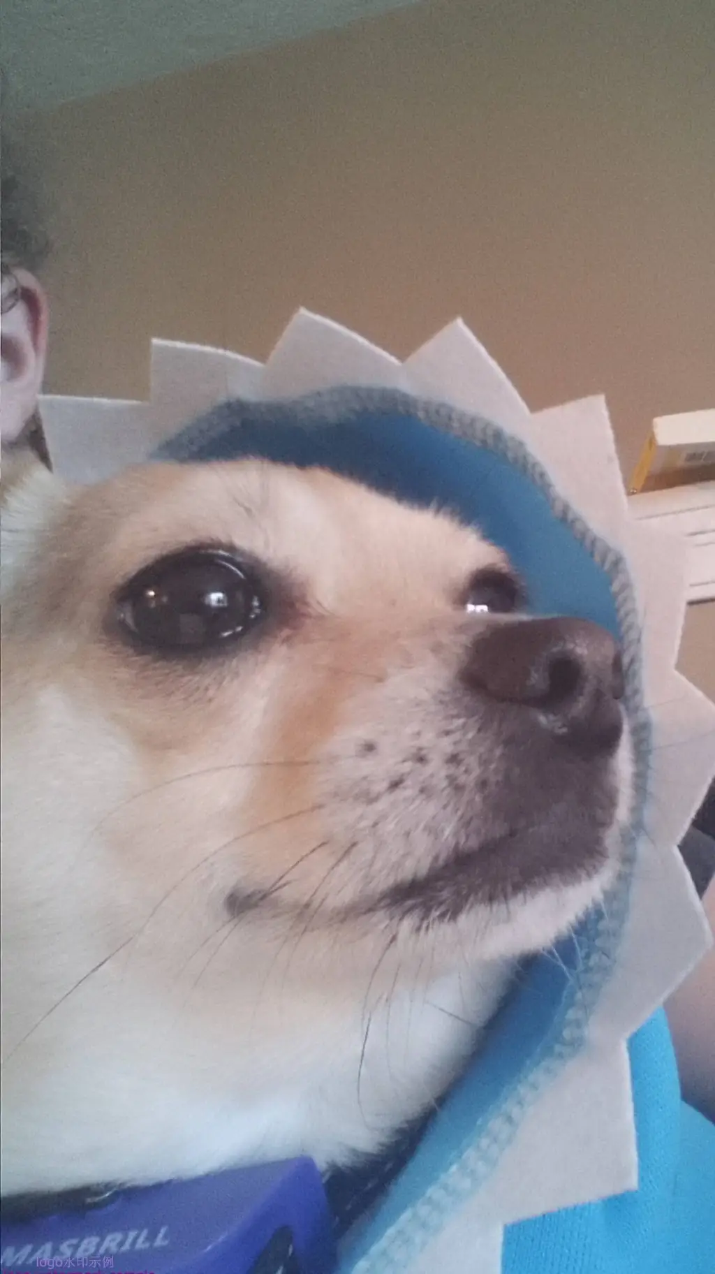 Talkie AI - Chat with skz