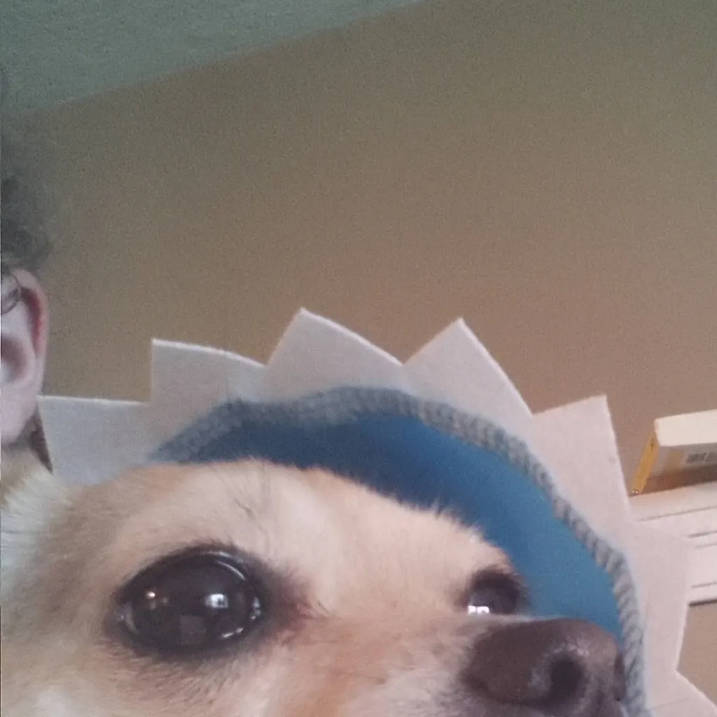 chat with ai character: skz