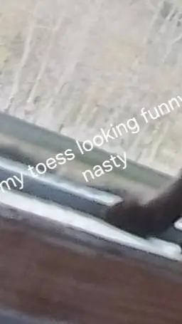 ai character: funny kitten background