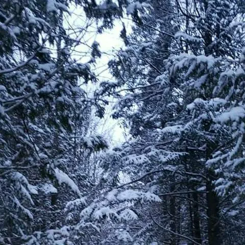 chat with ai character: aiden