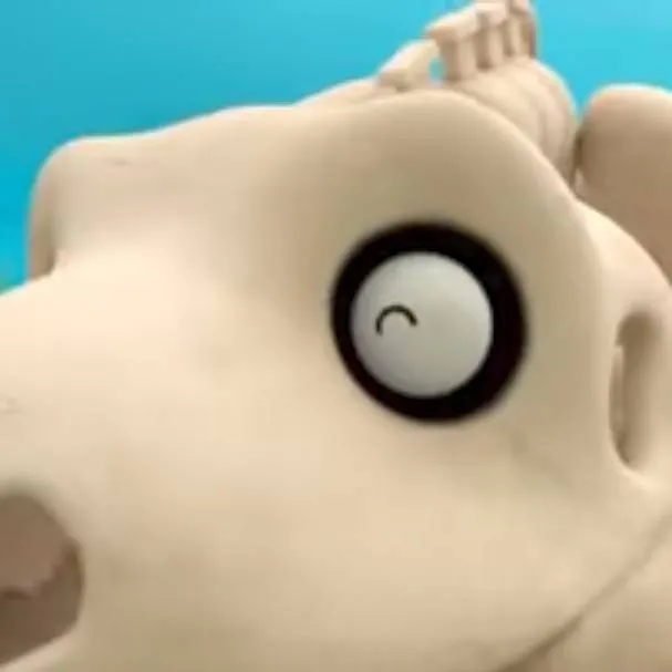 chat with ai character: skeleton rex