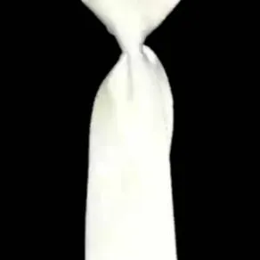 chat with ai character: black arrow