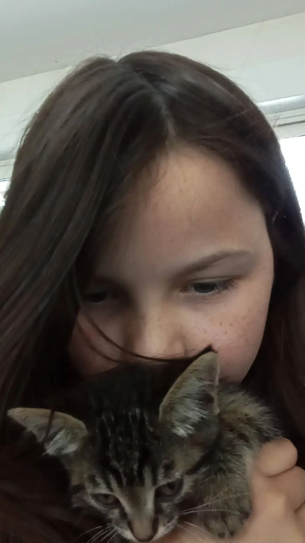 ai character: cat background