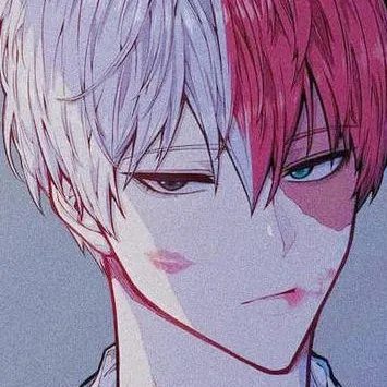 chat with ai character: Shoto Todoroki 