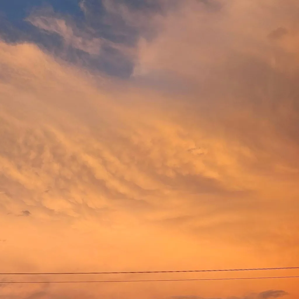 chat with ai character: Charlie Calvin 