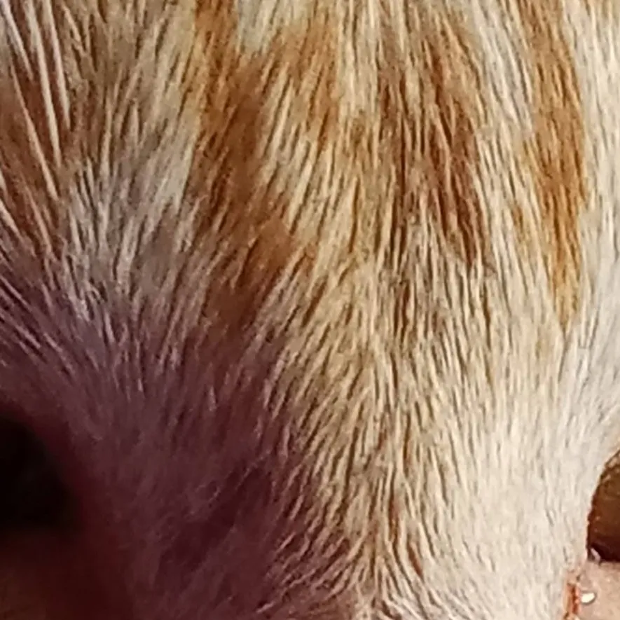 chat with ai character: Allister AKA ME