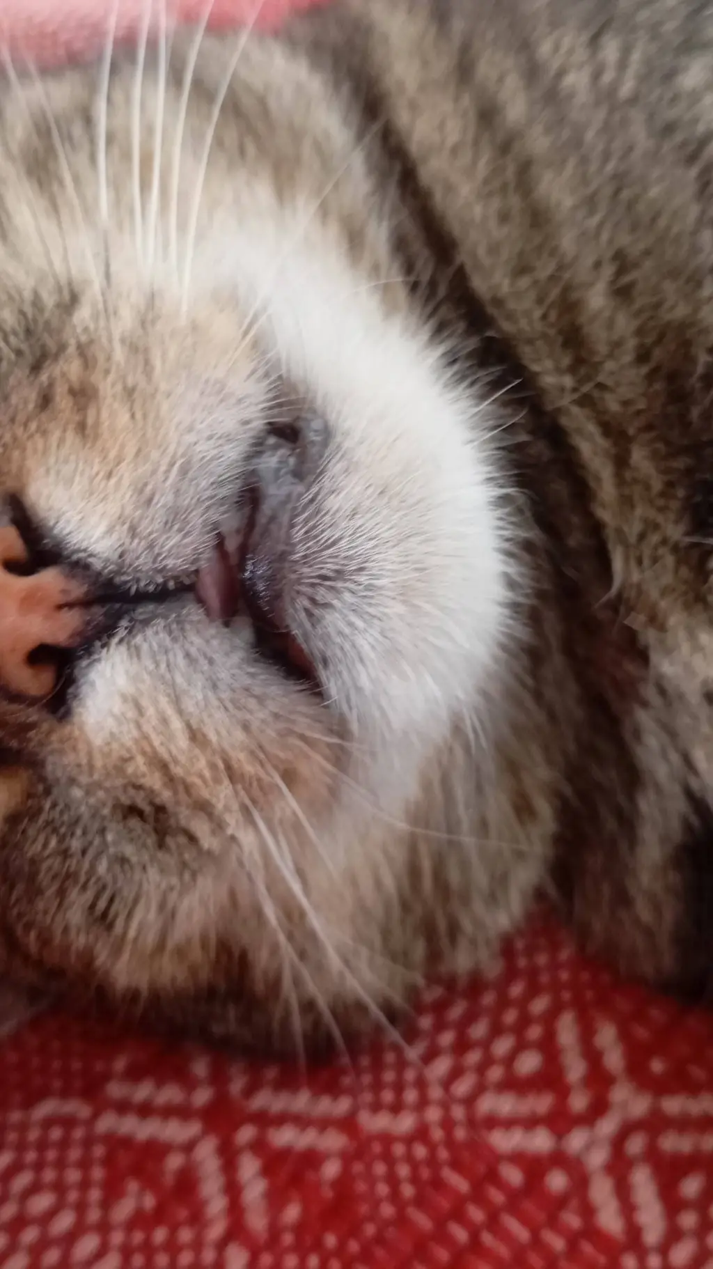 ai character: Dino Bro 6777 background