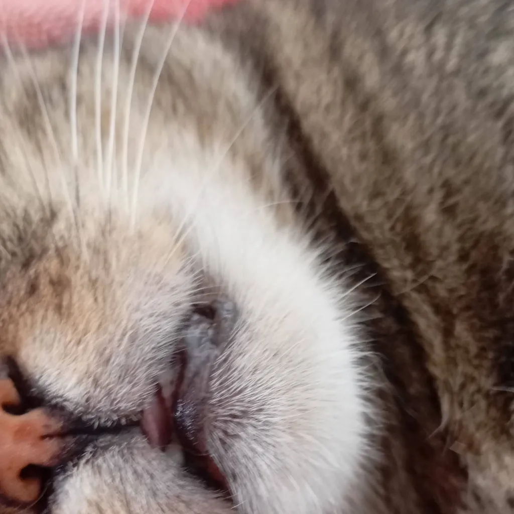 chat with ai character: Dino Bro 6777