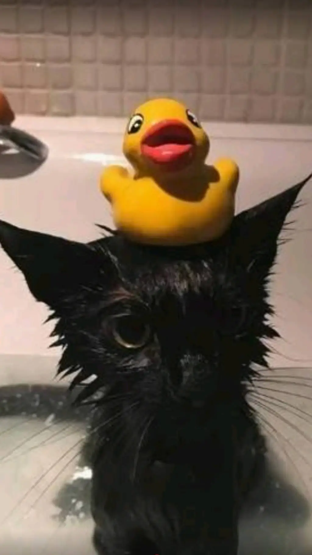 ai character: SKEIKSHDKSMXJSKS background