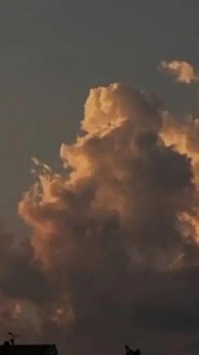 ai character: mrs. potato head background