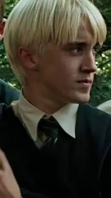 ai character: Draco Malfoy X Y/N background