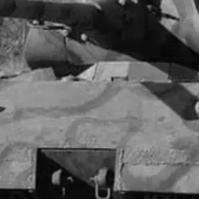 chat with ai character: PZKW viii maus