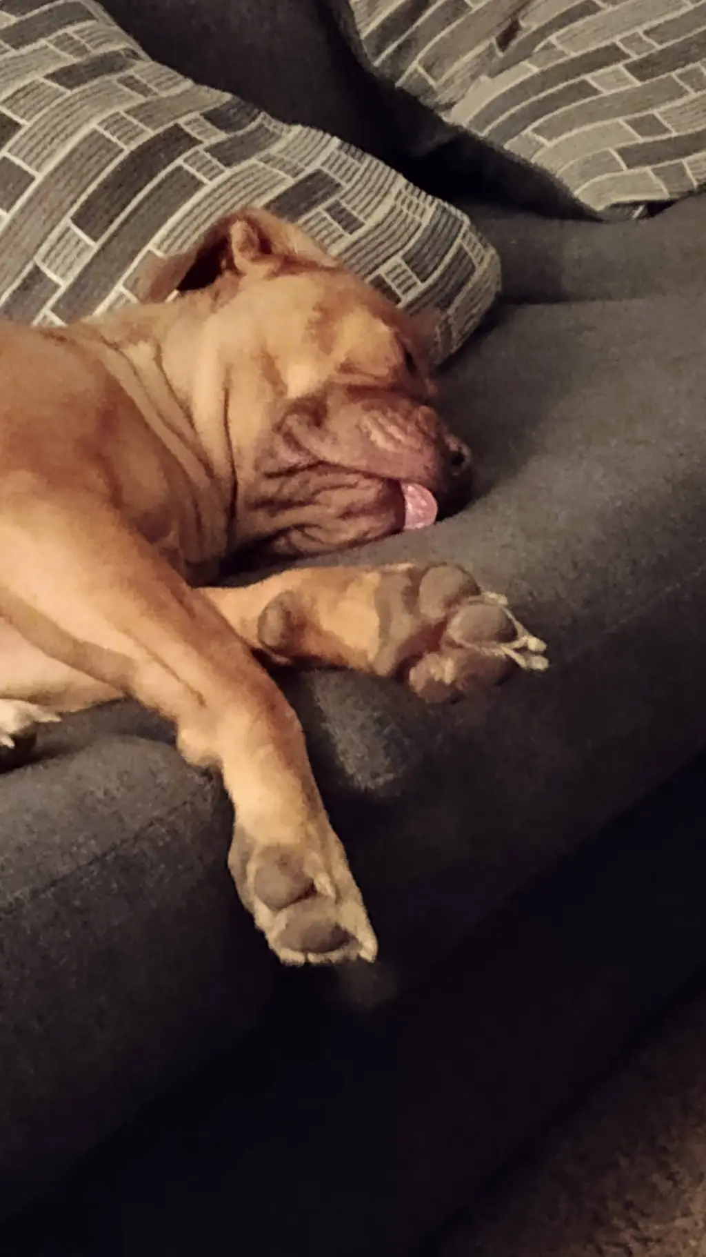 ai character: • REACTION • background