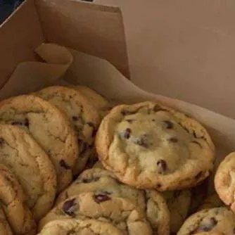chat with ai character: cookies 