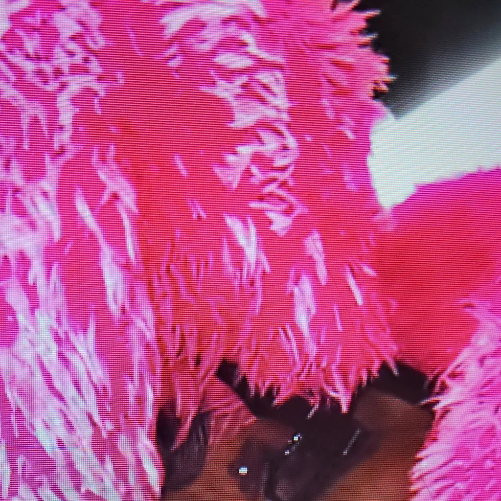 chat with ai character: ramire and kim