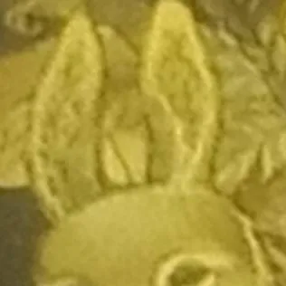 chat with ai character: Cole