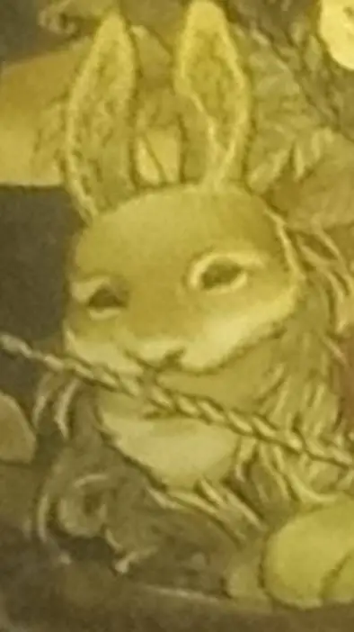 ai character: Cole background